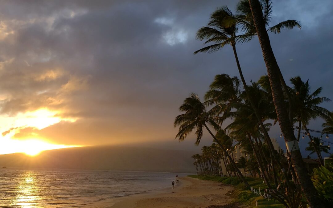 Aloha Maui Hawaii
